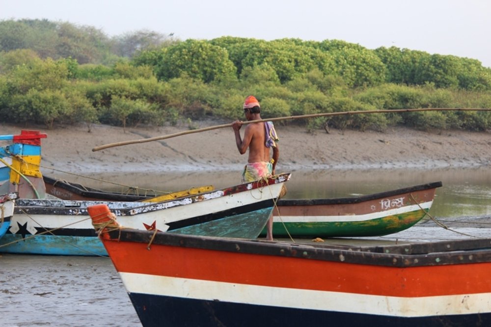 Photograph by Yogesh Mhatre