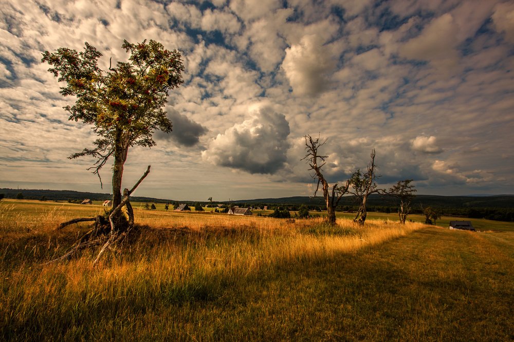 Photograph by Martin Vysoudil