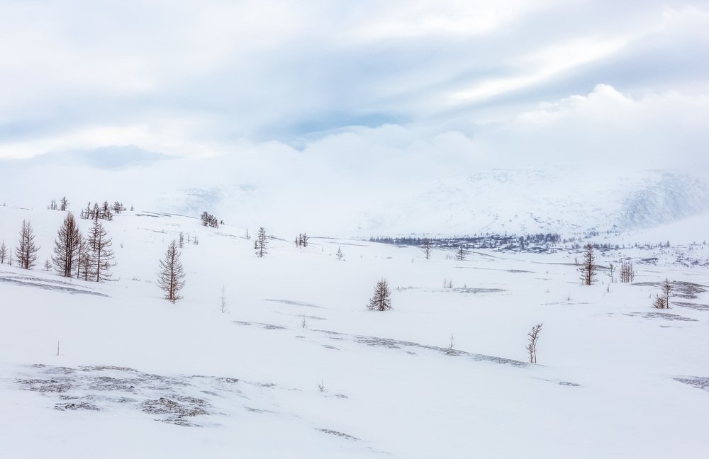 Photograph by Alfia Safuanova