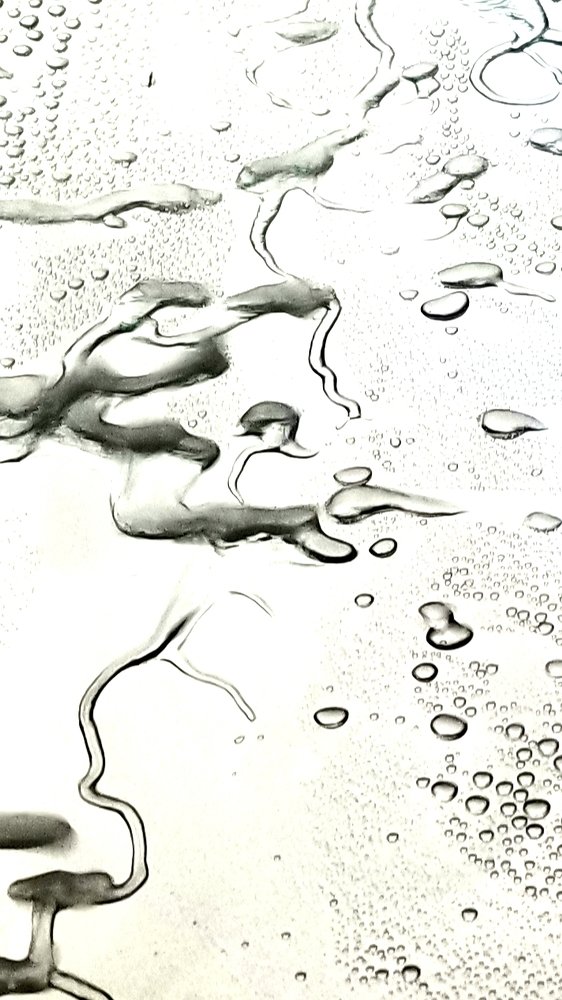 Photograph by Michelle Vaughn