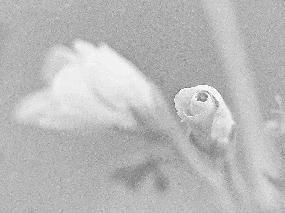 Photograph by Iin Fortunata Angelina