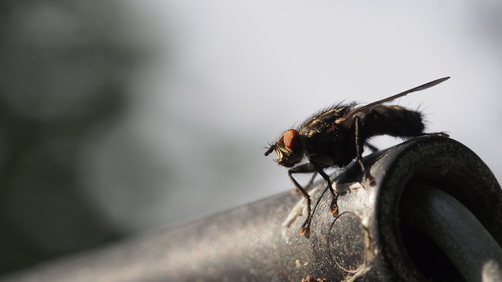 Photograph by Yana Marinova