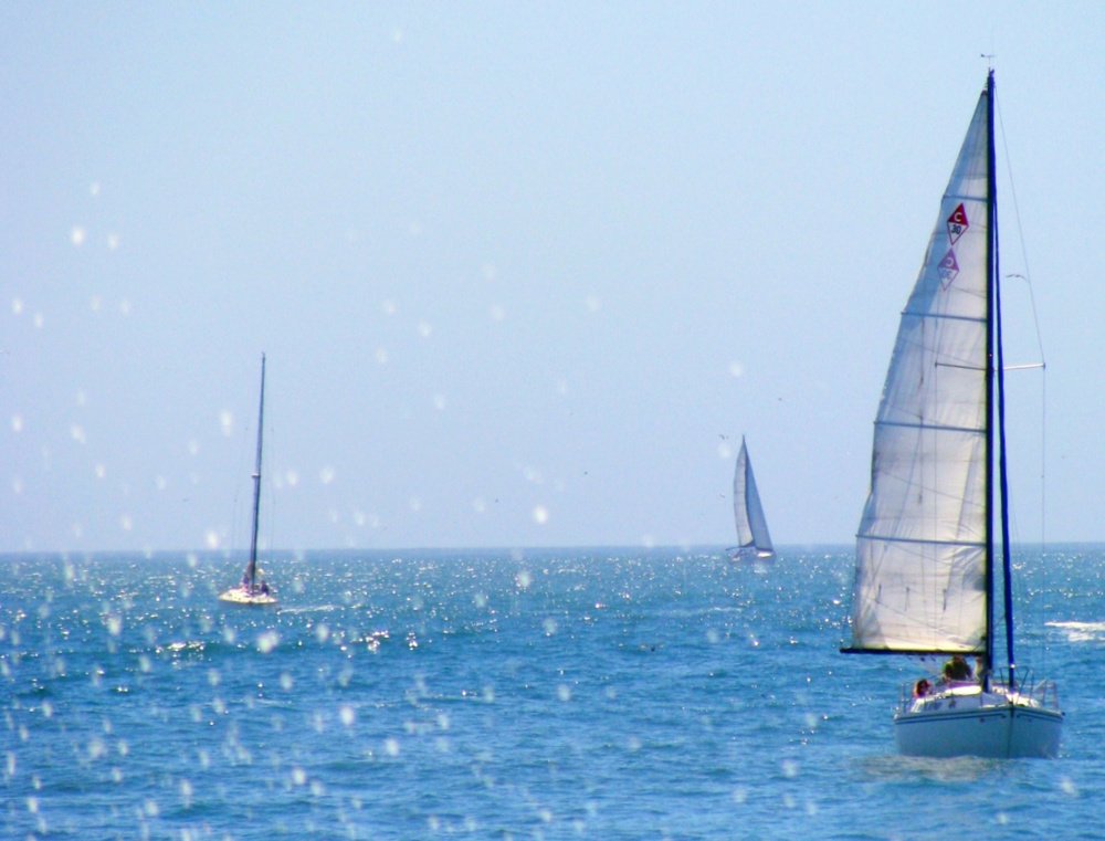 Tri Sails