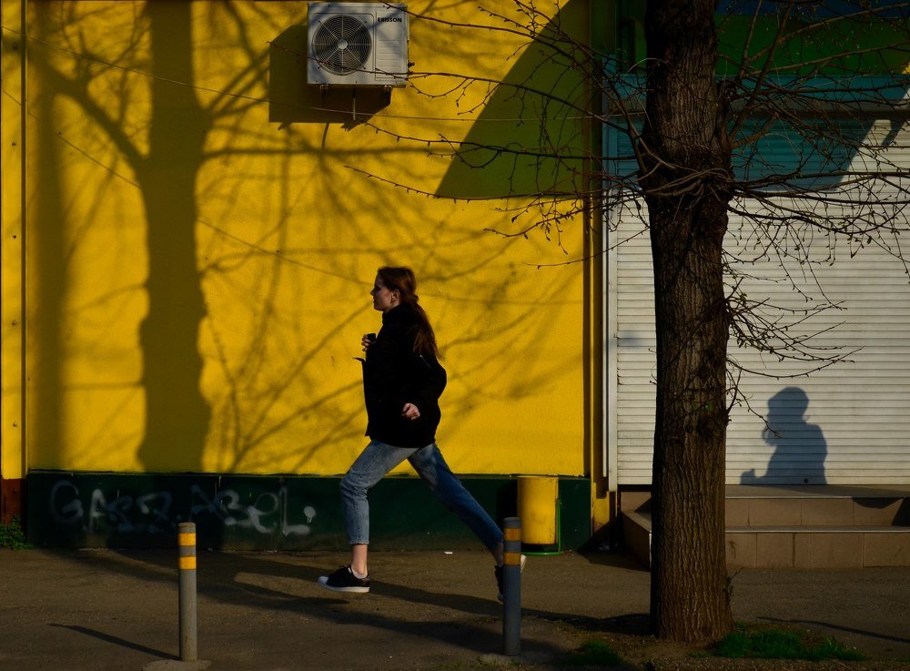 Photograph by Елена Шевченко