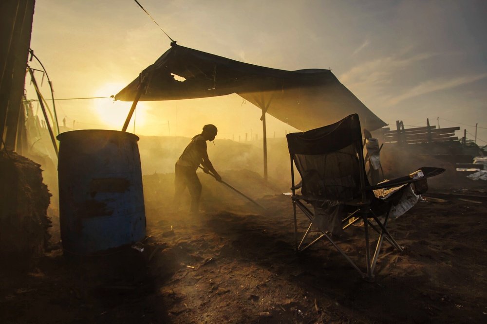 Photograph by micheal goh