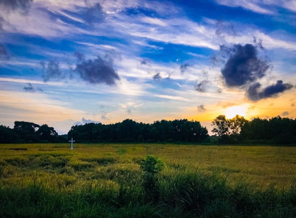 Photograph by Dinesh B Rathnayake
