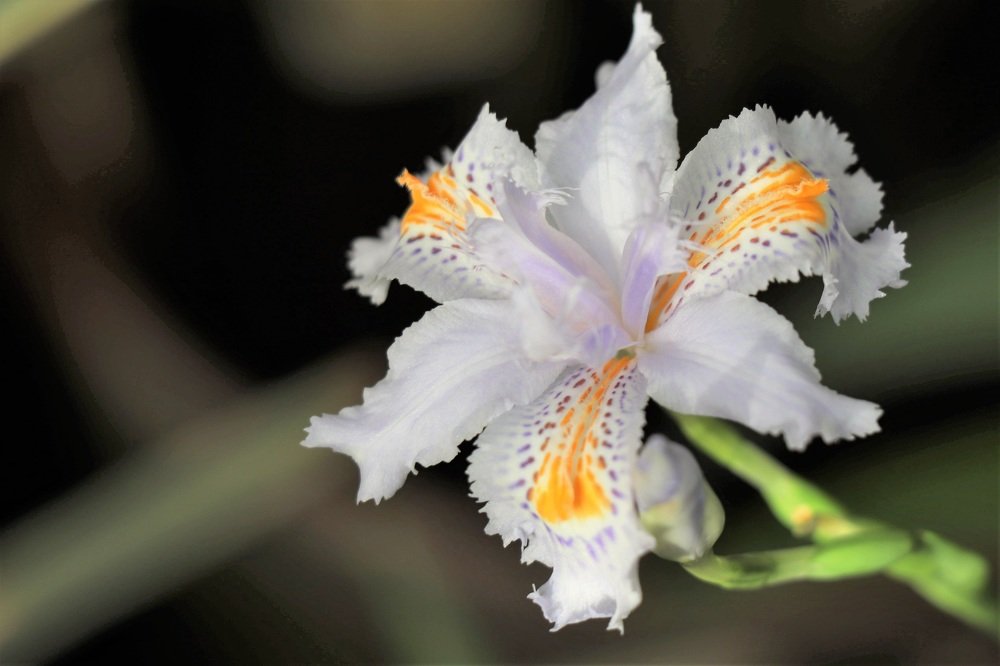 Photograph by Olga Oginskaya