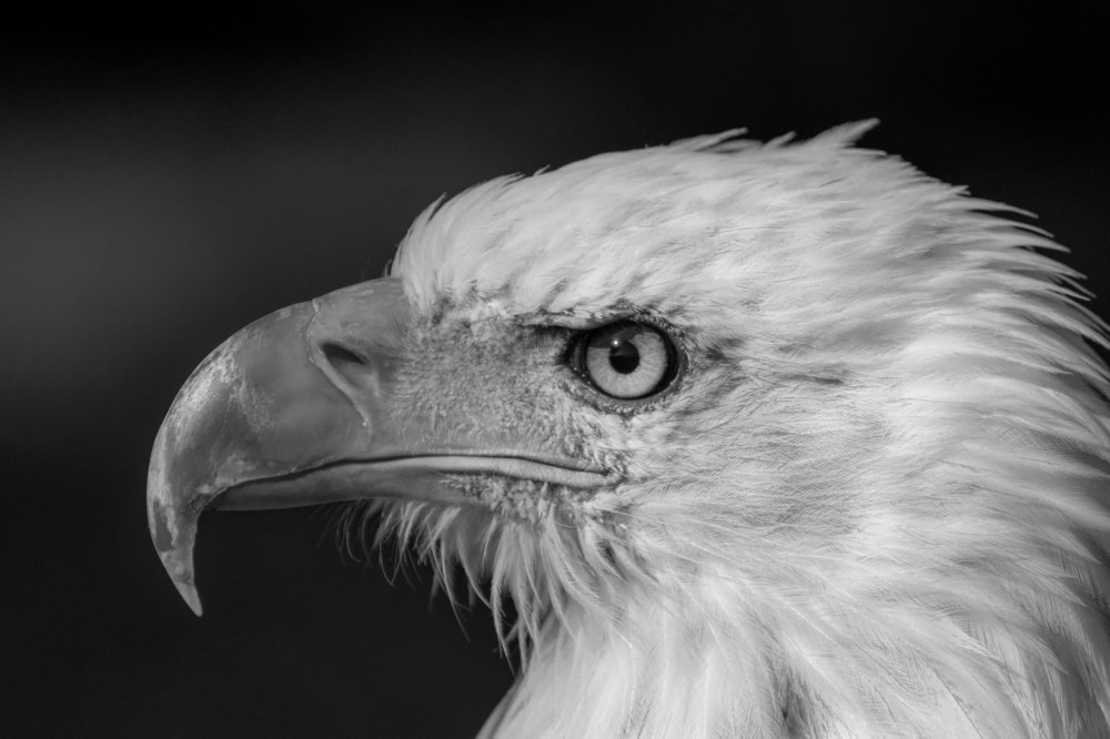 Photograph by Chantelle van Lente-Bosch