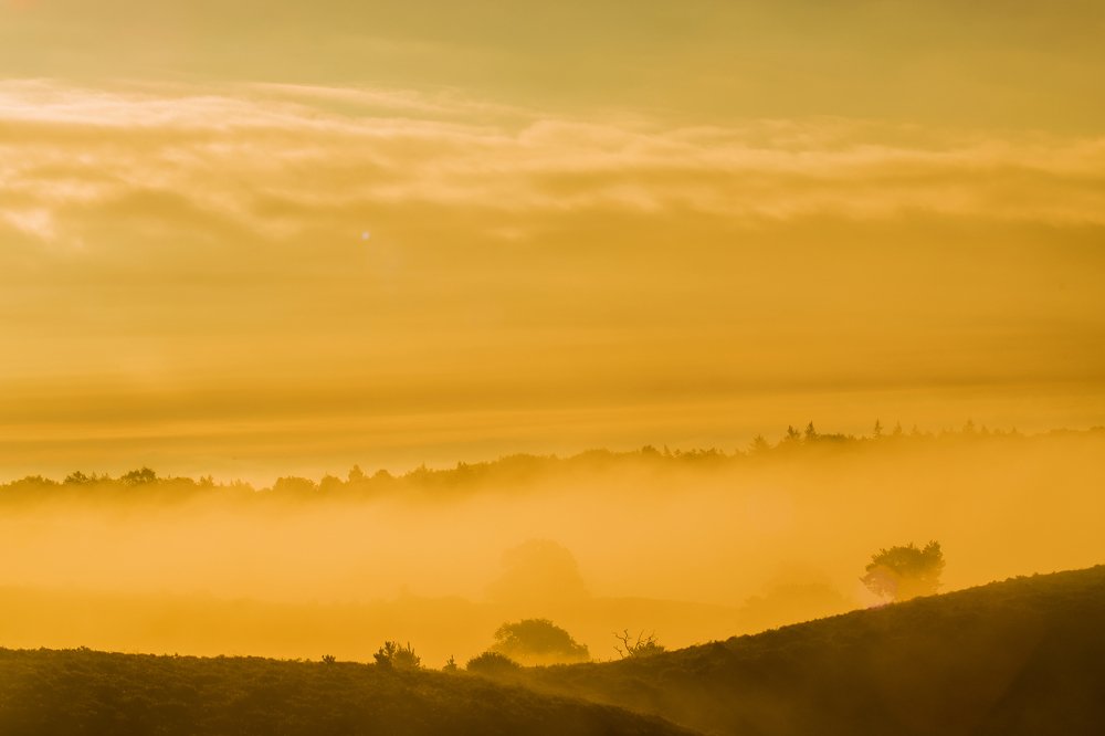 Photograph by Chantelle van Lente-Bosch