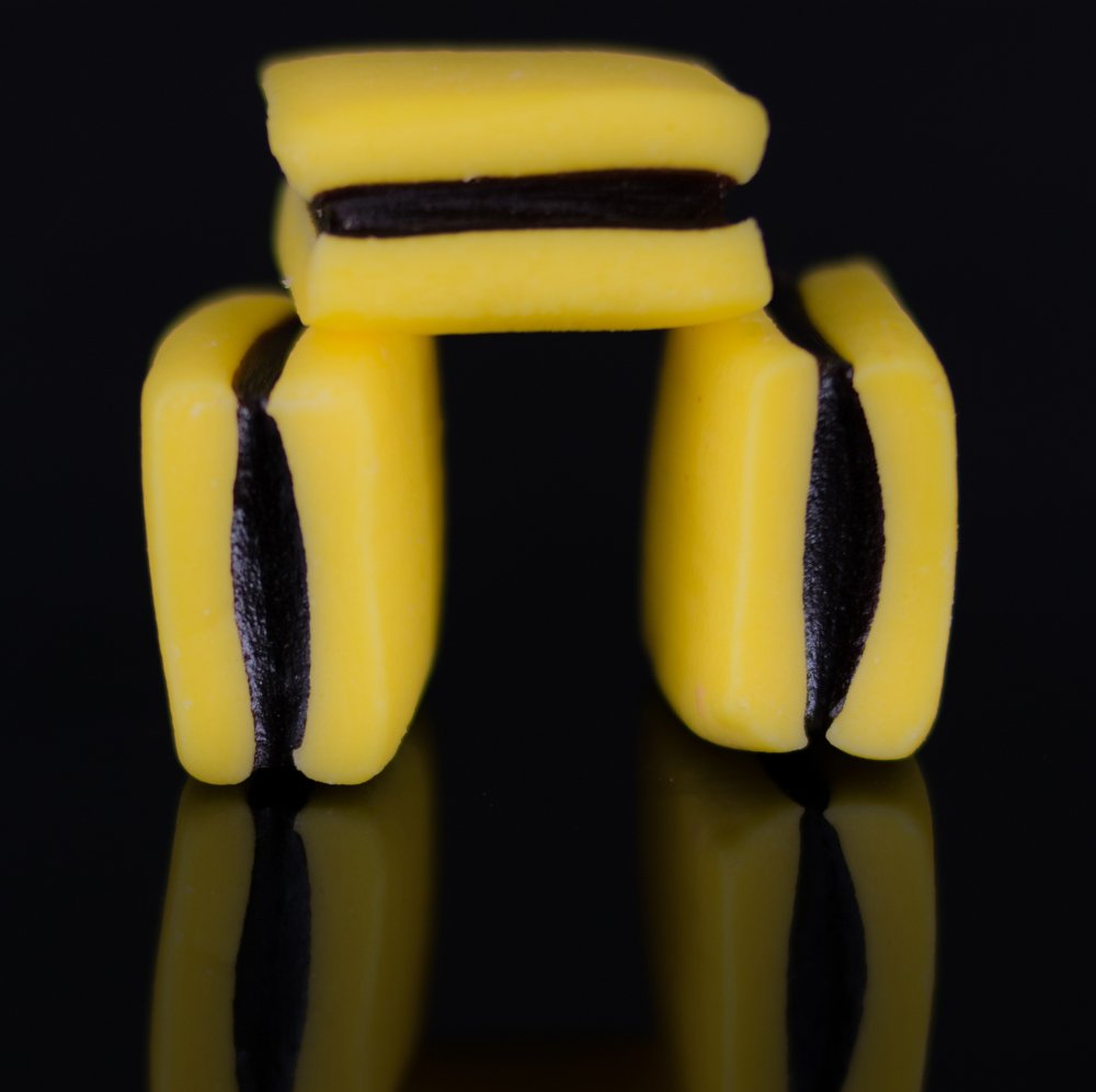 Photograph by Chantelle van Lente-Bosch