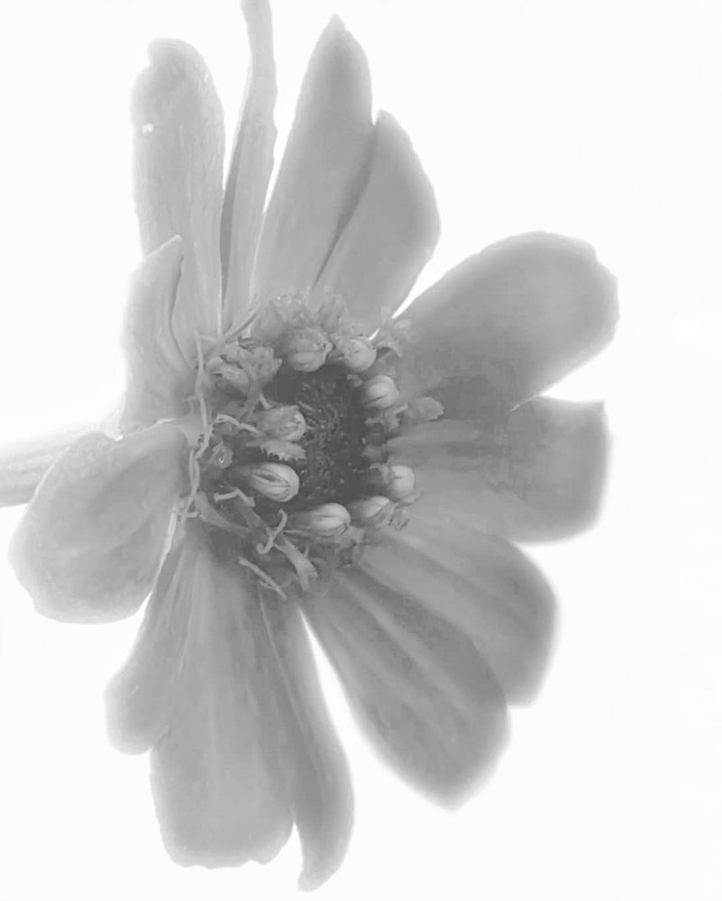 Photograph by Iin Fortunata Angelina