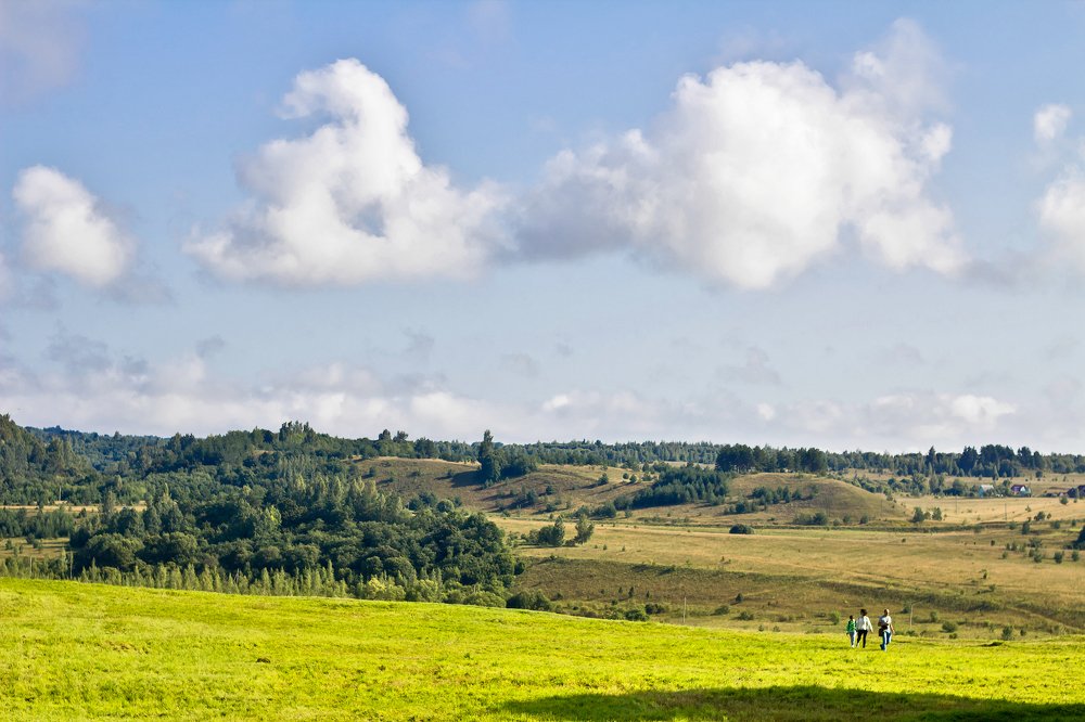 Изборско-мальская долина.