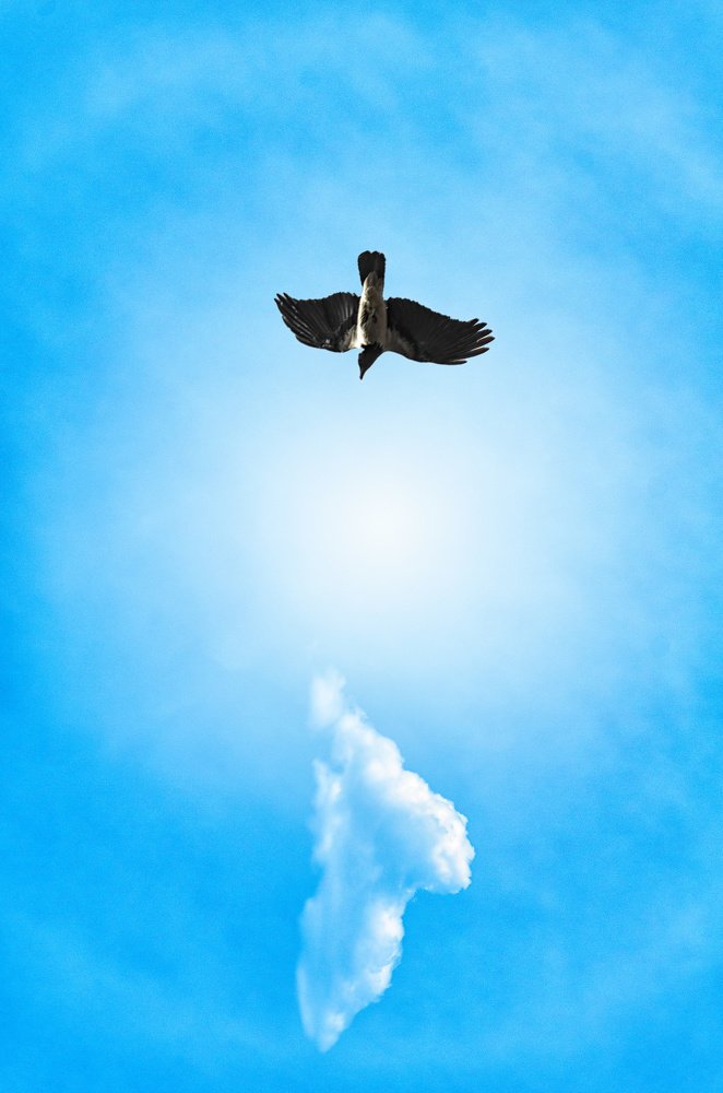 Photograph by reza lashgari