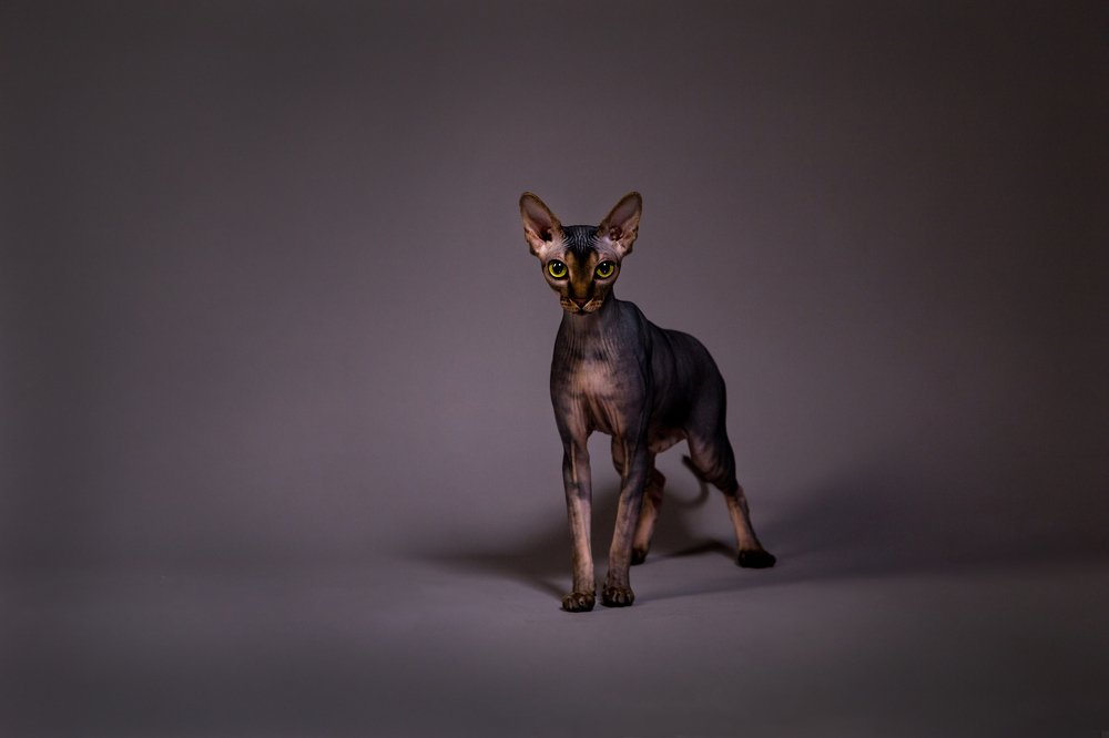 Photograph by Евгения