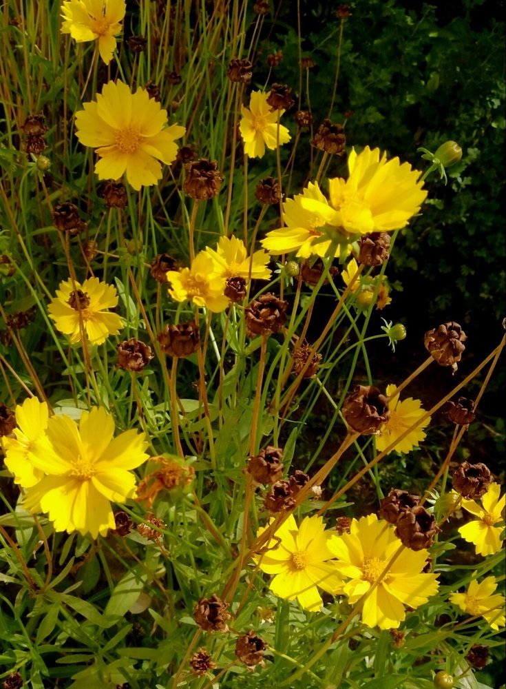 Photograph by Людмила Селегенева