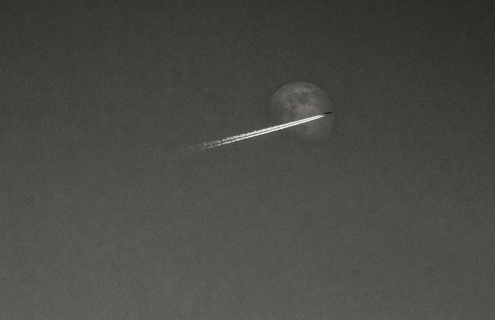 Photograph by Сычев Эдуард