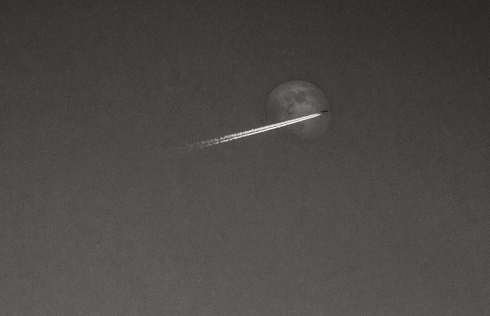 Photograph by Сычев Эдуард