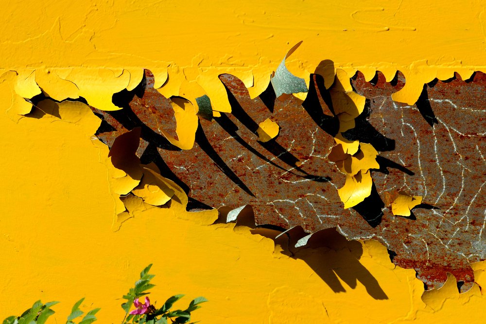 Photograph by игорь