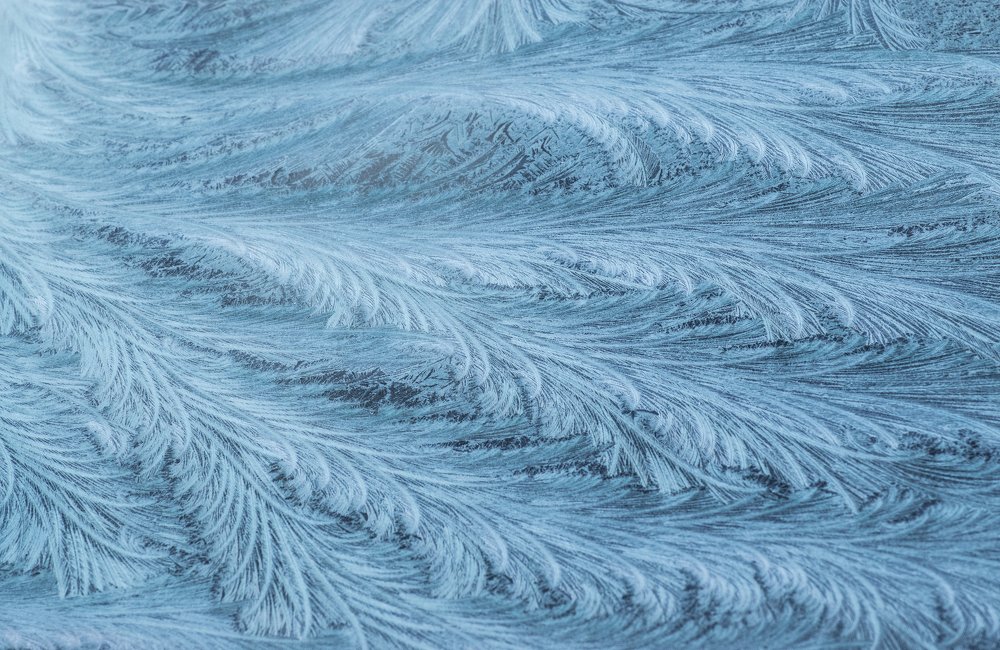 Photograph by Chantelle van Lente-Bosch