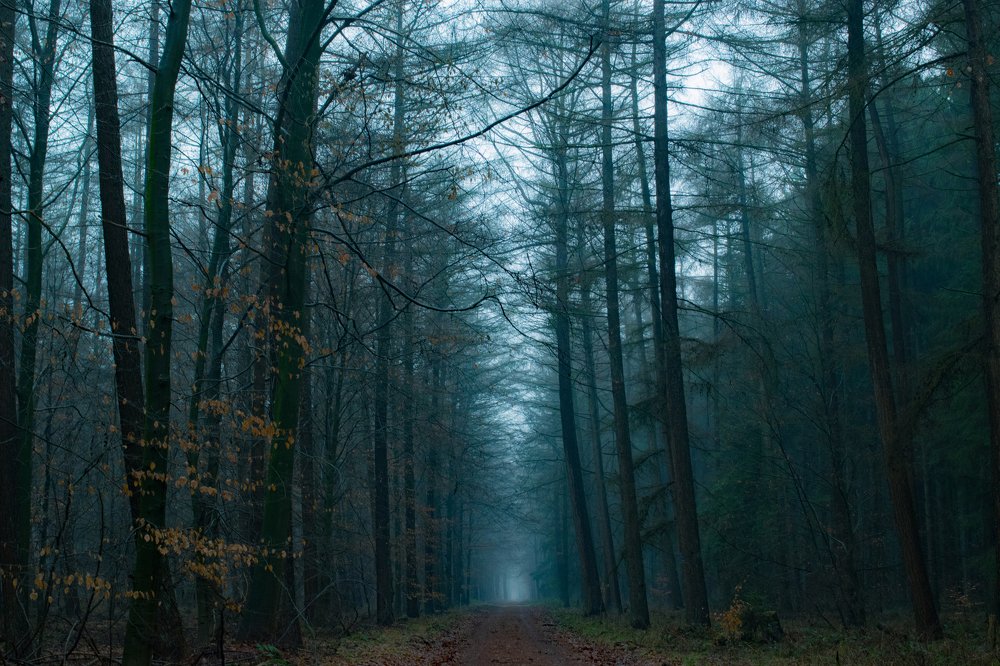 Photograph by Chantelle van Lente-Bosch