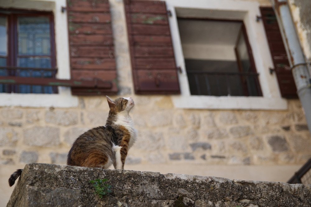 Photograph by Надежда Пидченко