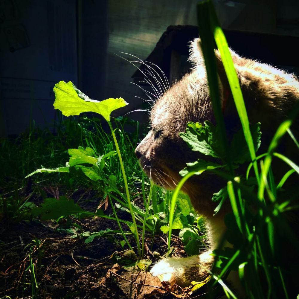 Photograph by Людмила Яненко