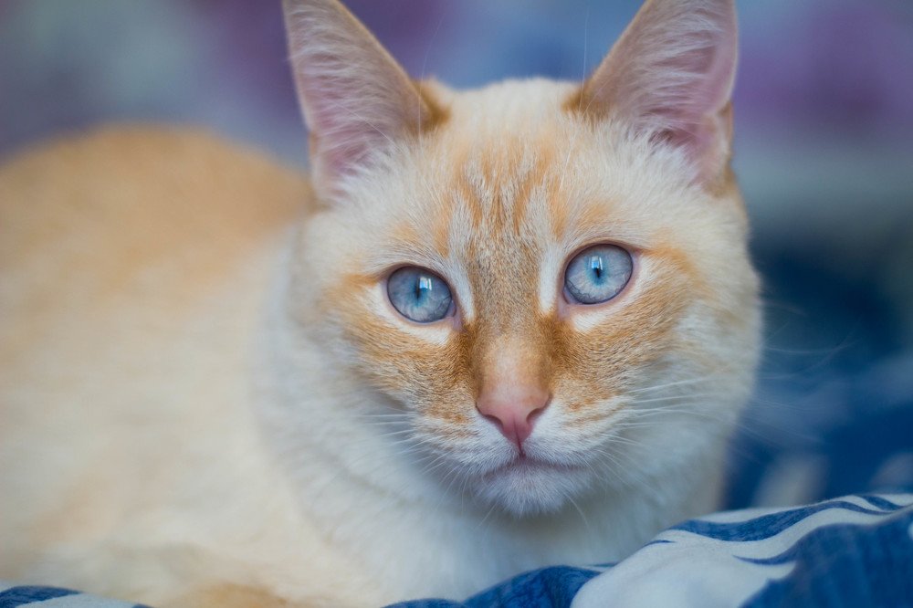 Photograph by Надежда Пидченко