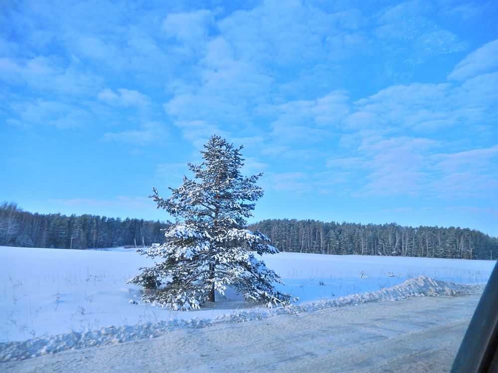 Photo #3509573