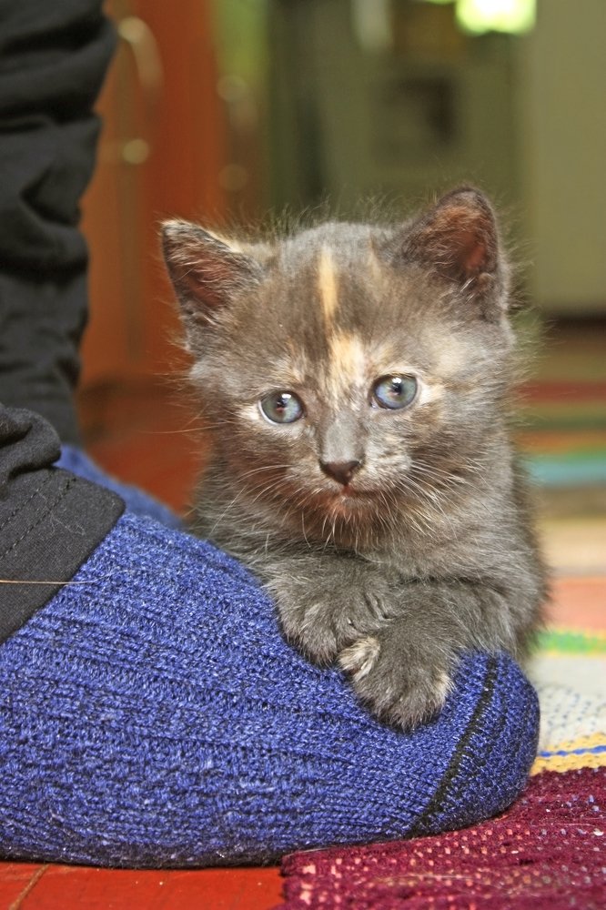 Photograph by Вероника Ратникова