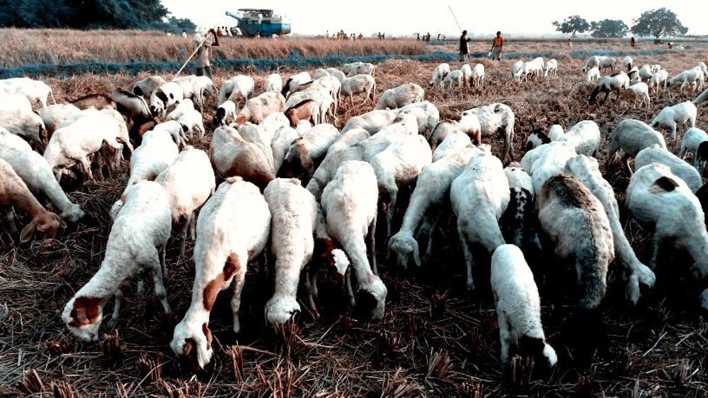 Photograph by Ashwini Rai