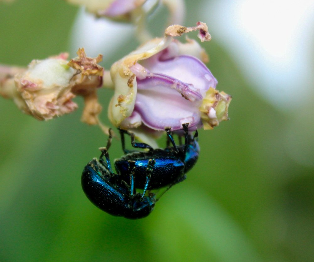 Photograph by Afzalkhan Khan