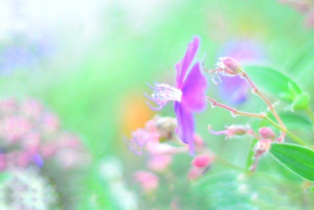 Photograph by Yap Andrew