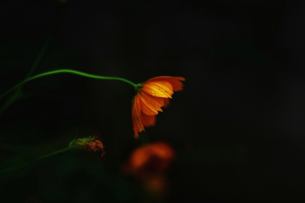 Photograph by Yap Andrew