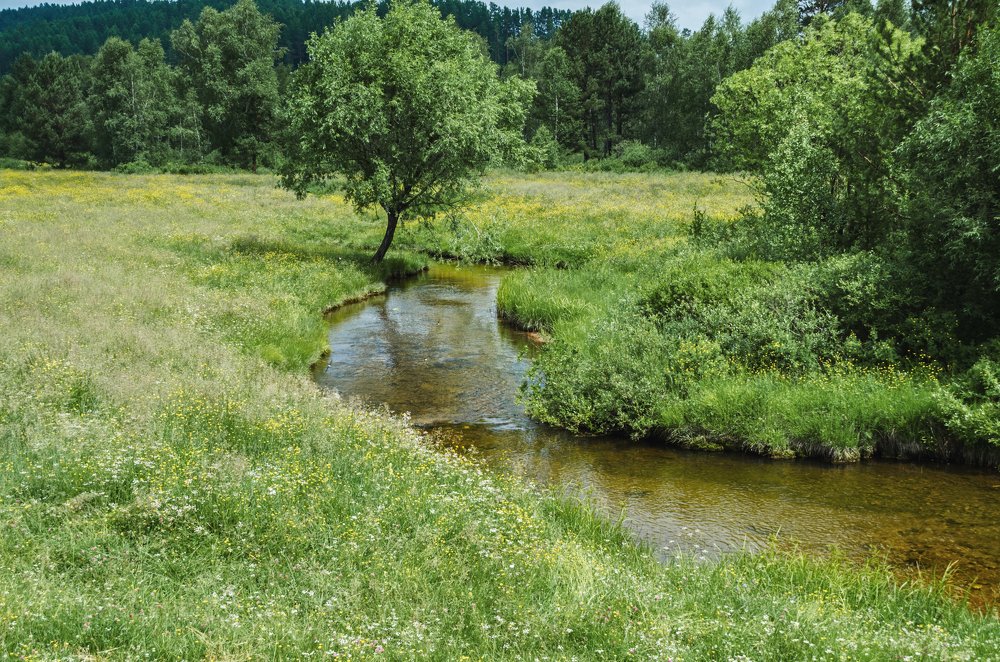 Photograph by Дмитрий Долгих