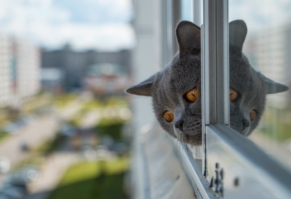 Photograph by Ирина Фастовец