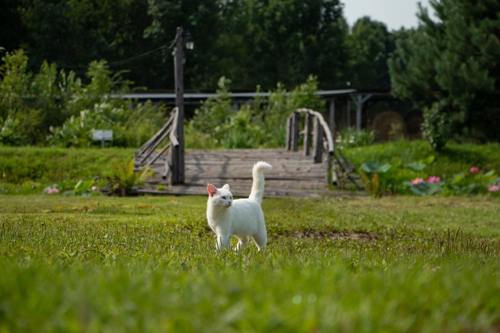 Photograph by Ирина Фастовец