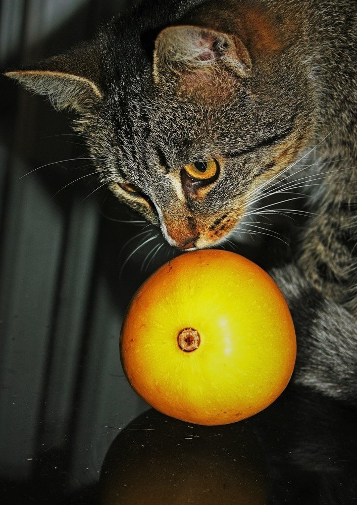 Photograph by Вероника Ратникова