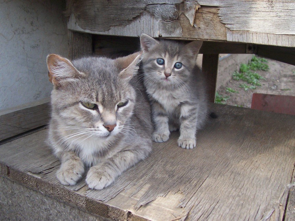 Photograph by Светлана Гринцова