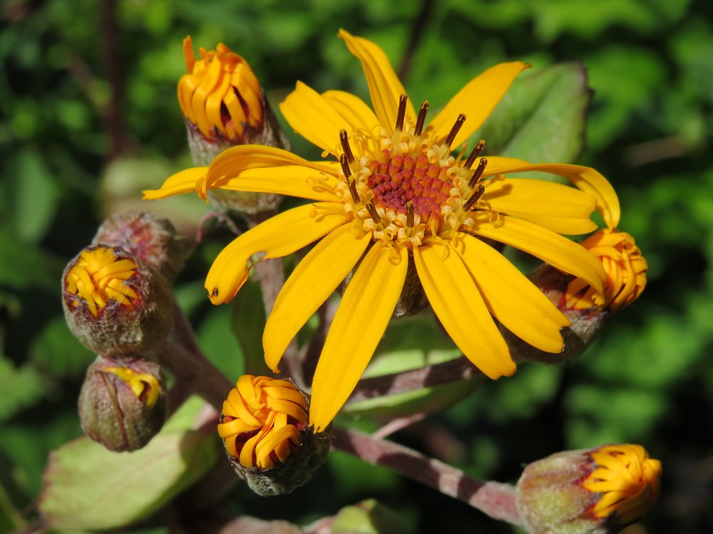 Photograph by Анастасия Романова