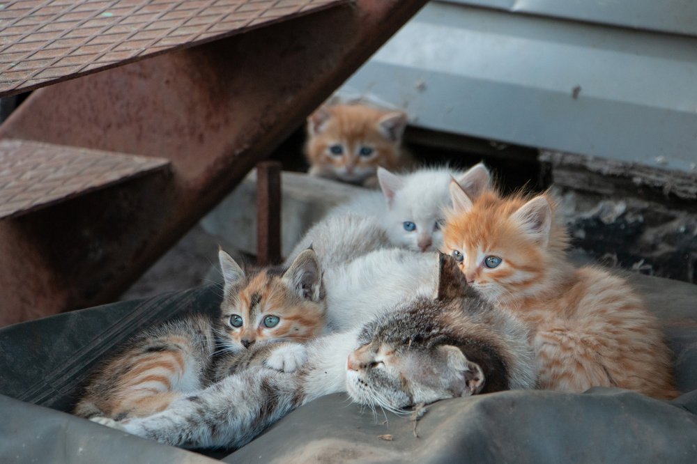 Photograph by Ирина Фастовец