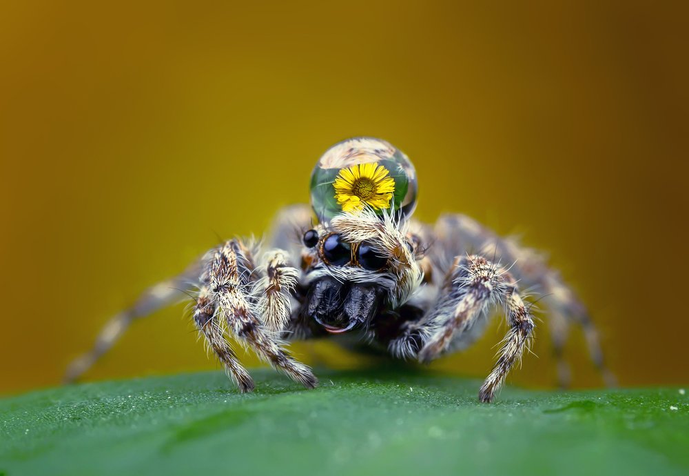 Photograph by TIAN CHING TAN