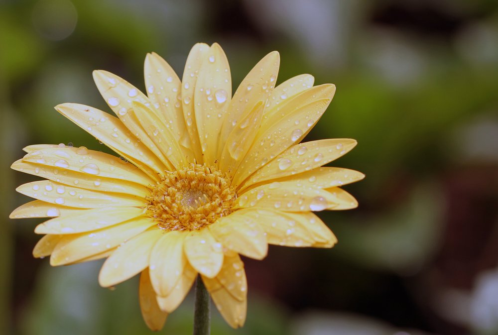 Фотография автора Tutang Hermawan (+62)812 2072-43 Asep