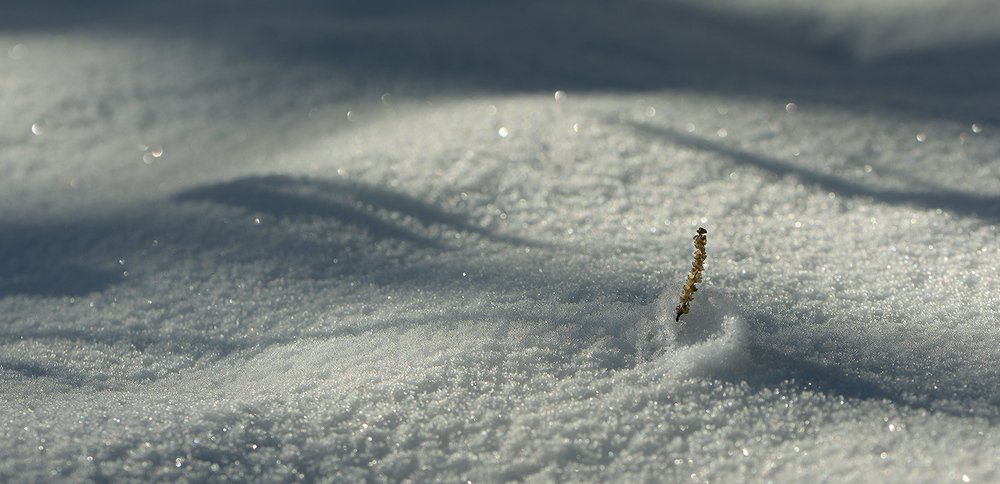 На перископной глубине