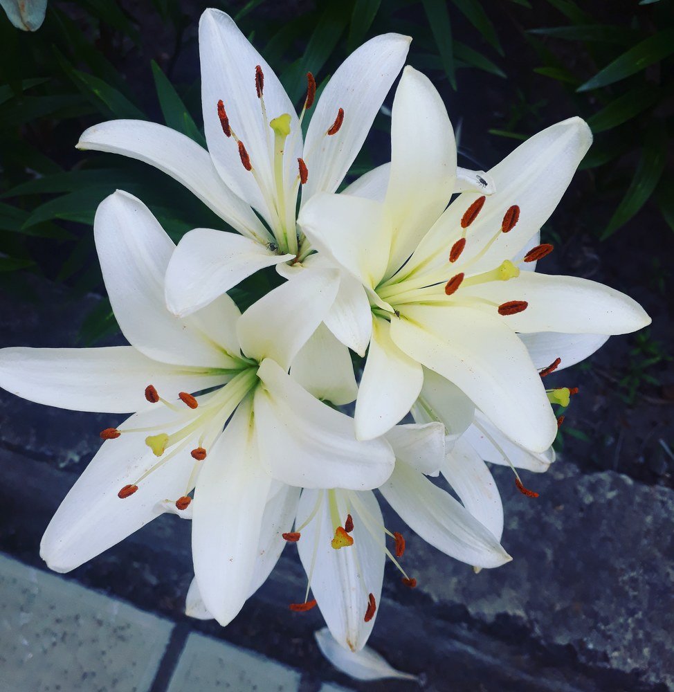 Photograph by Ирина Копанева