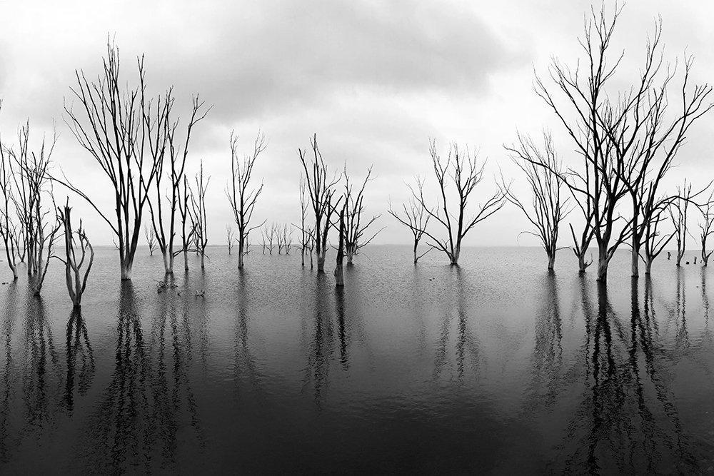 Photograph by Ricardo Dellacasa