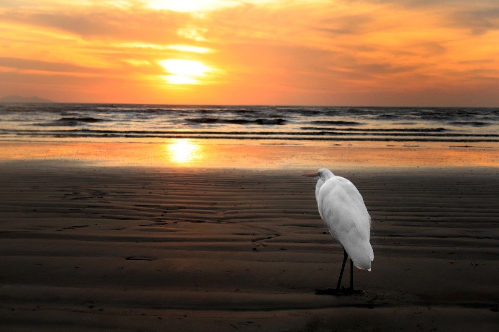 Liberdade ao nascer do sol