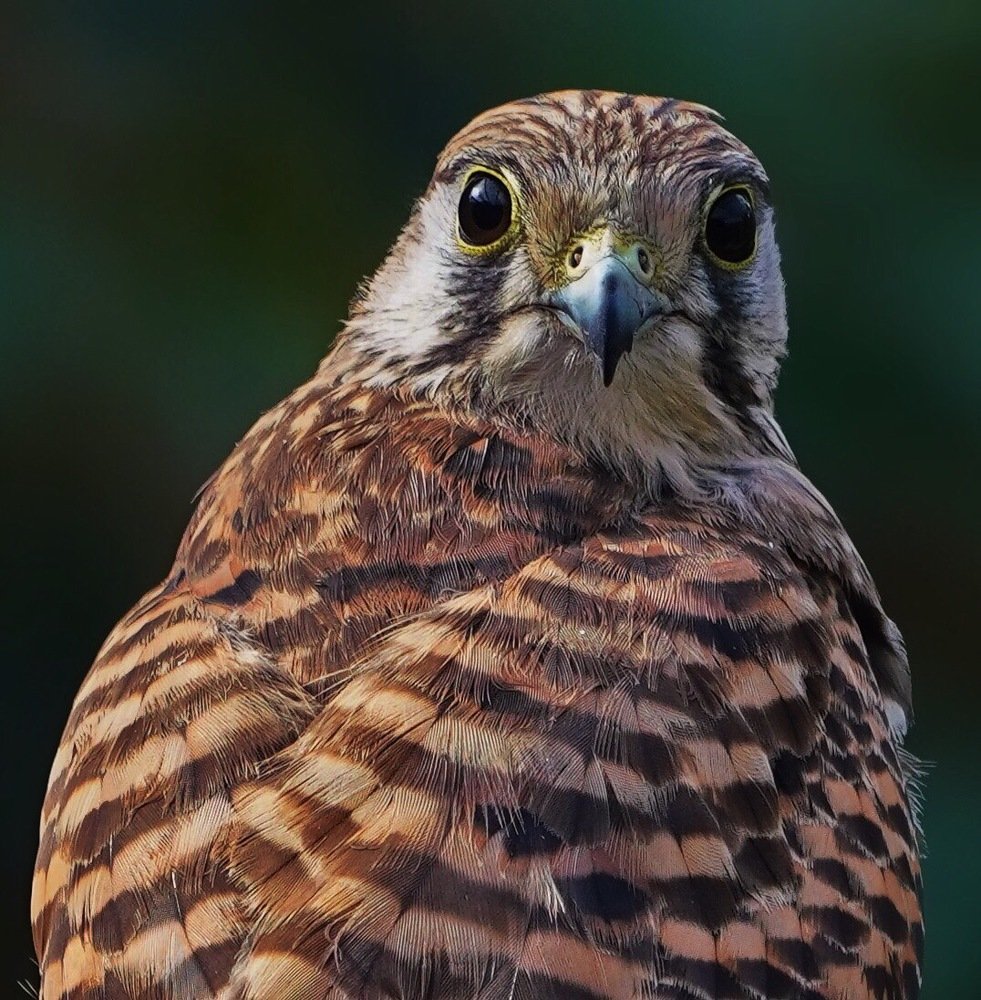 Photograph by Kan Chung Wong
