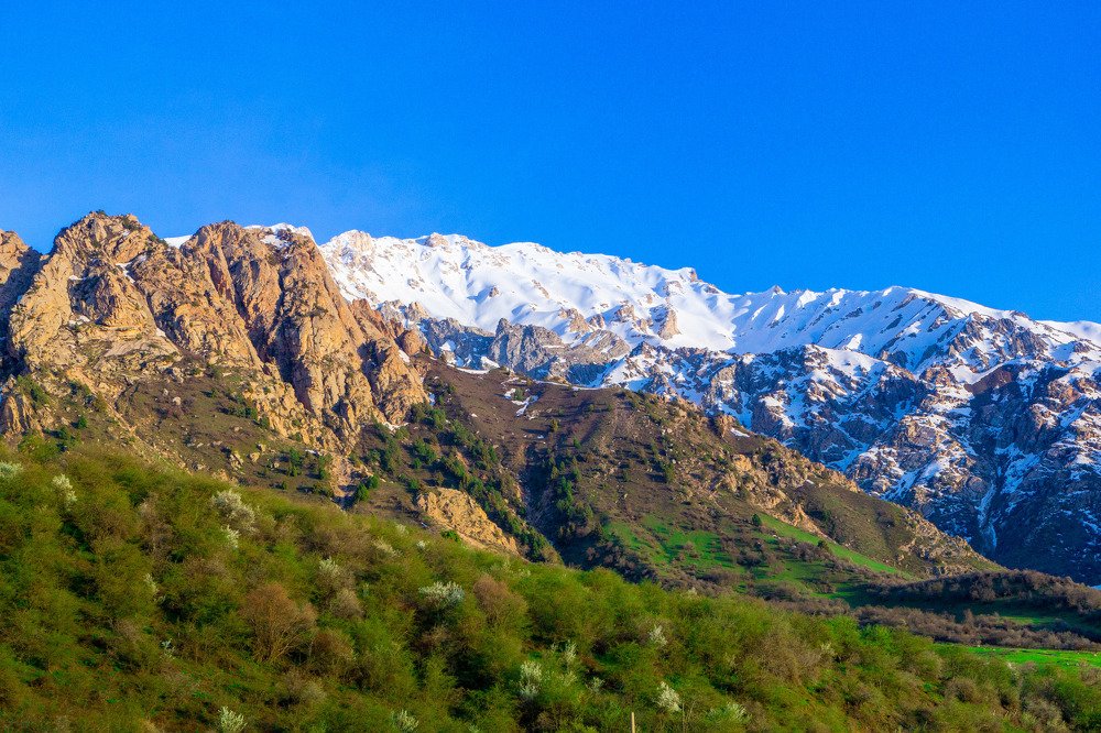 Photograph by Виталий Куприянов