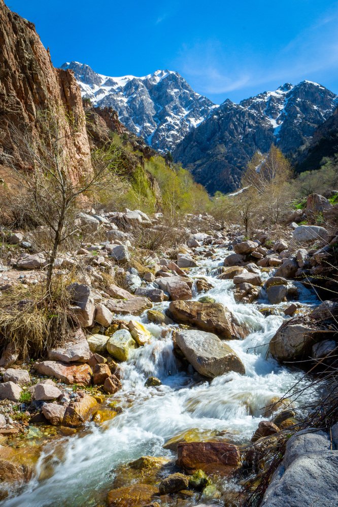 Photograph by Виталий Куприянов