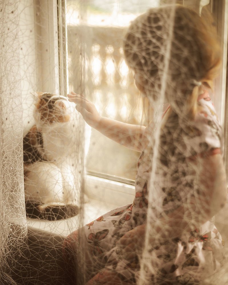 У бабушки в деревне